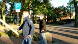 Maibaumsetzen 2018